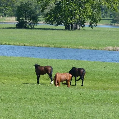 Appartement Zum Froschteich Damnatz