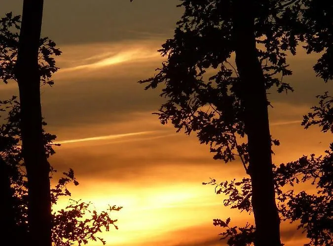 公寓 Zum Froschteich Damnatz