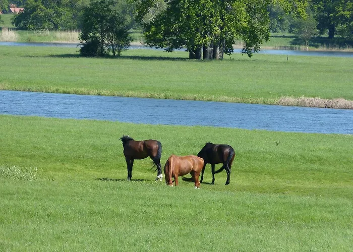 Appartement Zum Froschteich Damnatz